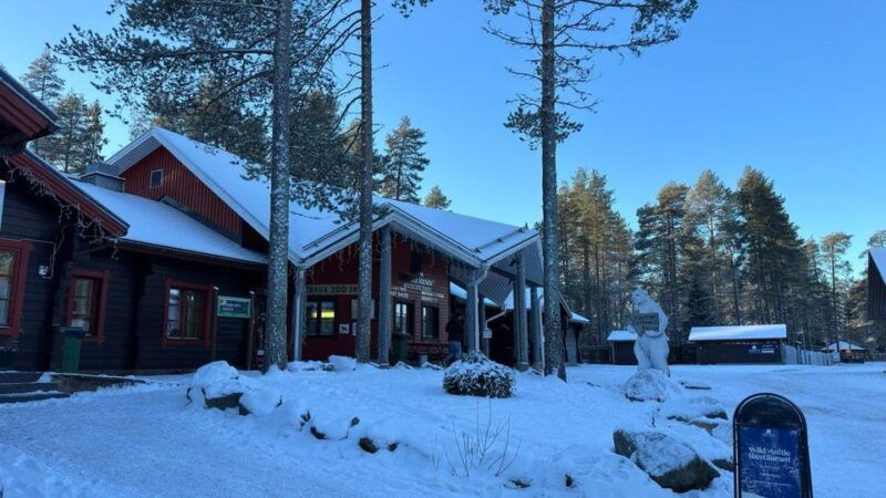 Rovaniemi: trip to the Ranua Zoo (transportation, tickets) - Who Is This Tour Best For?
