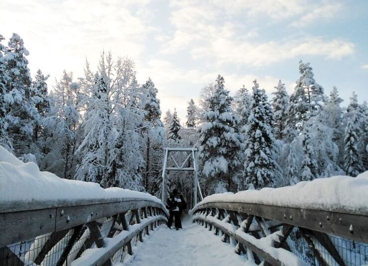 Rovaniemi: Vaattunki Hiking Arctic Circle Trail - Activity Details
