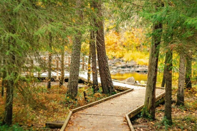 Rovaniemi: Vaattunkiköngäs Trail Arctic Circle Forest Hike - Good To Know