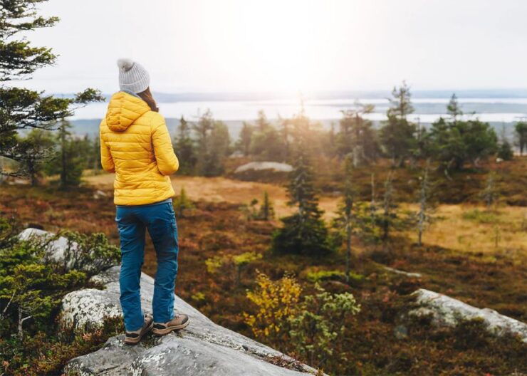 Rovaniemi: Wild Moose Safari - Booking Information