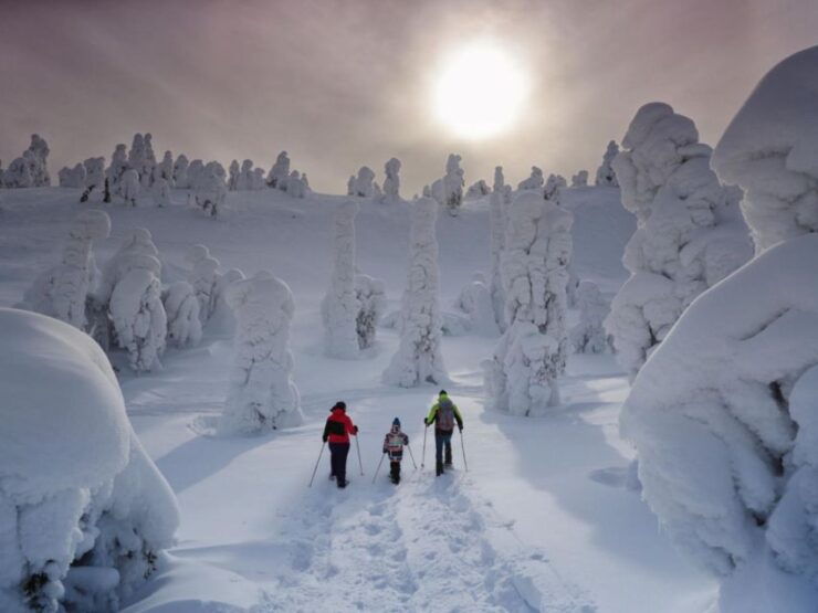Rovaniemi: Wilderness Snowshoes Expedition Tour & Barbeque - Booking Information