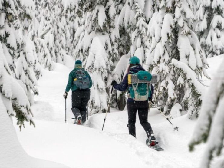 Rovaniemi: Wilderness Snowshoes Expedition Tour & Barbeque - Experience Highlights