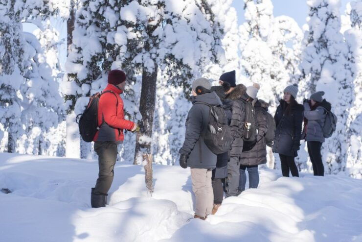 Rovaniemi: Wilderness Tour - Booking Details