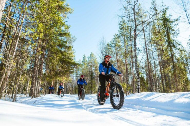 Rovaniemi: Winter Efatbike Tour in Snowy Forest - Tour Highlights and Features