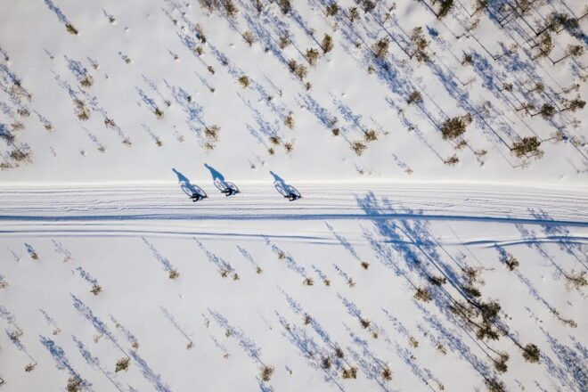 Rovaniemi: Winter Efatbike Tour in Snowy Forest - Safety Guidelines and Precautions