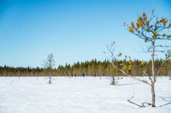 Rovaniemi: Winter Efatbike Tour in Snowy Forest - Local Traditions and Legends