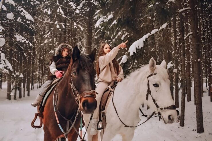 Rovaniemi: Winter Horse Riding in Arctic Nature - Good To Know