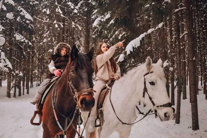 Rovaniemi: Winter Horse Riding in Arctic Nature - Booking Your Adventure