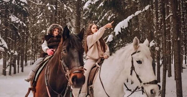 Rovaniemi: Winter Horse Riding in Arctic Nature - Frequently Asked Questions