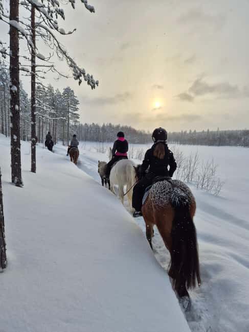 Rovaniemi: Winter Horseback Ride on Snowy Hills and Forests - Good To Know