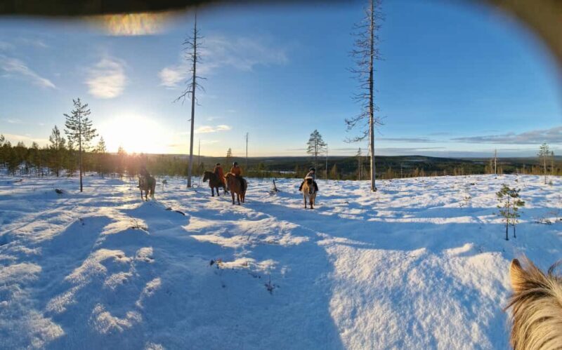 Rovaniemi: Winter Horseback Ride on Snowy Hills and Forests - Introduction