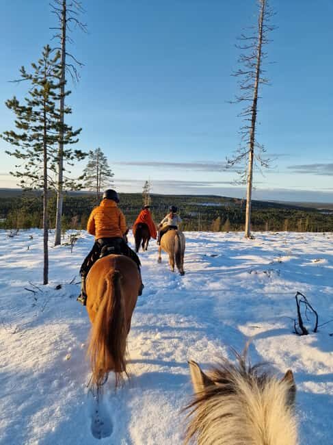 Rovaniemi: Winter Horseback Ride on Snowy Hills and Forests - Why This Tour Works