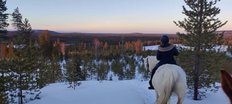 Rovaniemi: Winter Horseback Ride on Snowy Hills and Forests - Who Should Consider This Tour?