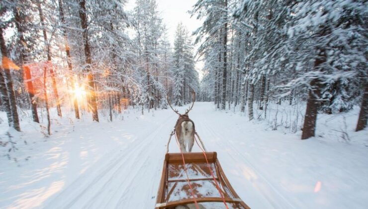 Rovaniemi: Winter Snowshoeing, Reindeer & Husky Sleigh Ride - Experience Highlights