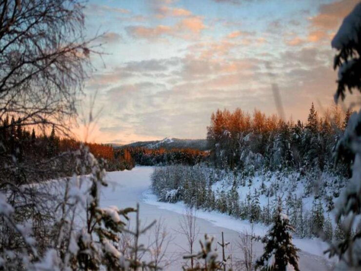 Rovaniemi: Winter Wonderland Vikaköngäs Hike & Barbeque - Activity Details