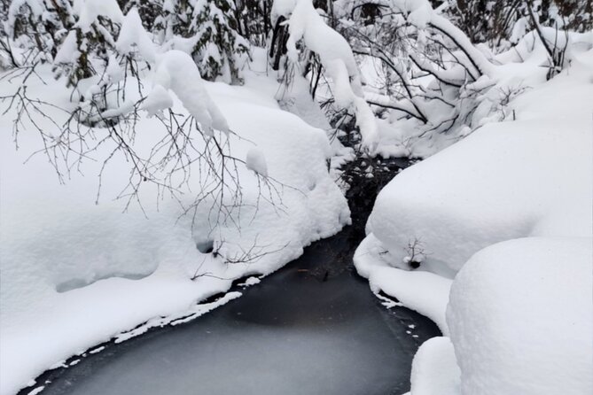 Rovaniemi: Winter Wonderland Vikaköngäs Hiking Tour & BBQ - Tour Details