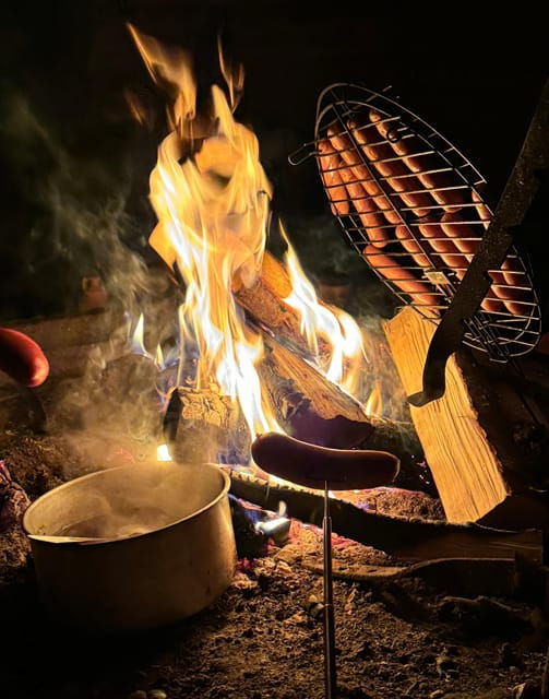 Rovaniemi:Northern Lights Hunt in Lapland Wilderness - The Experience in Detail
