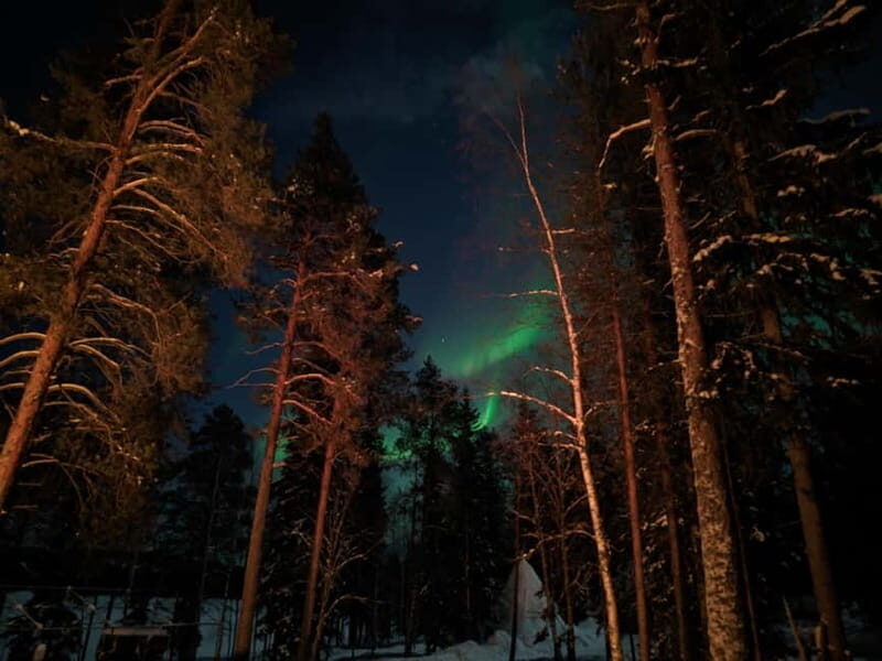 Rovaniemi:Santa Claus Village Guided Tour with Santa's gift - Practical Tips for Your Visit