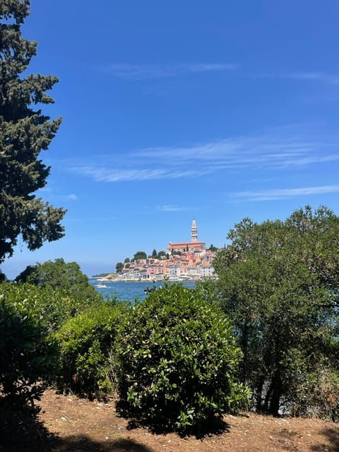 Rovinj: BUBA SUNSET Kayak, Snorkeling&Driknks Incuded - What to Bring