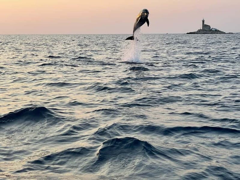 Rovinj: Dolphins at Sunset & Island Swimming Speedboat Tour - Who Should Consider This Tour?
