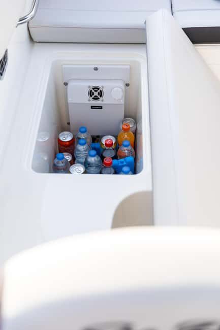 Rovinj: Dolphins at Sunset & Island Swimming Speedboat Tour - FAQ