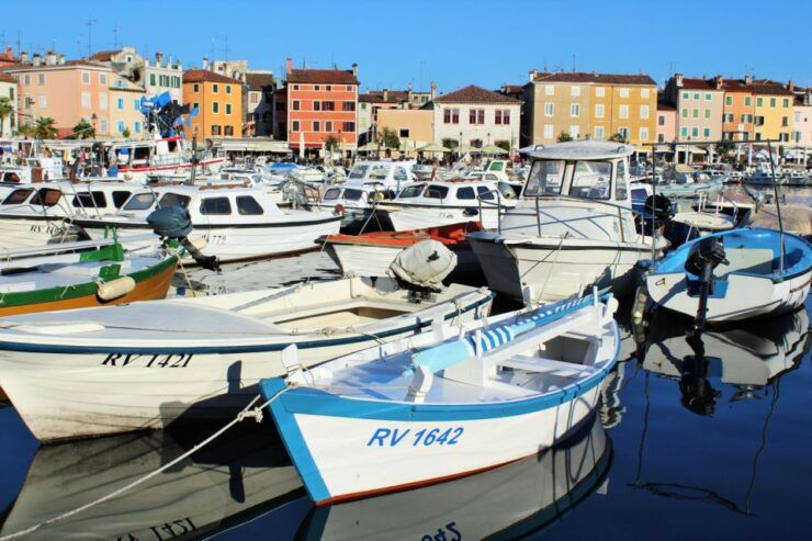Rovinj E-Bike Round Tour - Experience Highlights