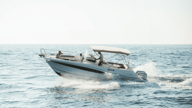 Rovinj: Family Friendly Dolphin Watching Tour - Tour Highlights and Features