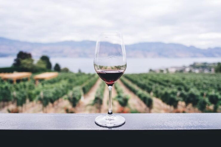 Rovinj: Flavours of Istria Tasting Experience - Culinary Focus