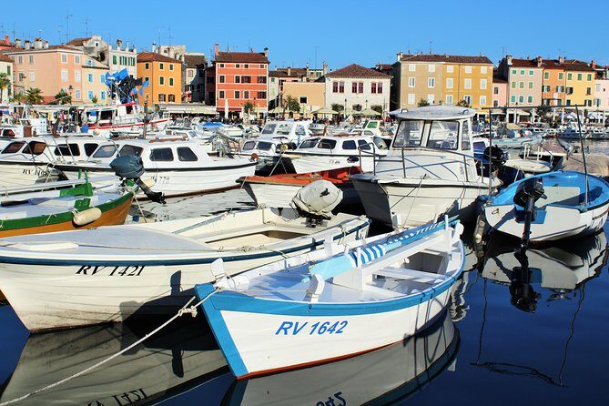 Rovinj private biking tour by electric powered bike - Practical Tips for Your Rovinj Bike Tour