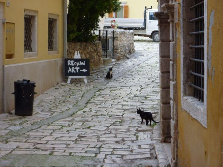 Rovinj: Private Walking Tour - Tour Duration and Cancellation Policy