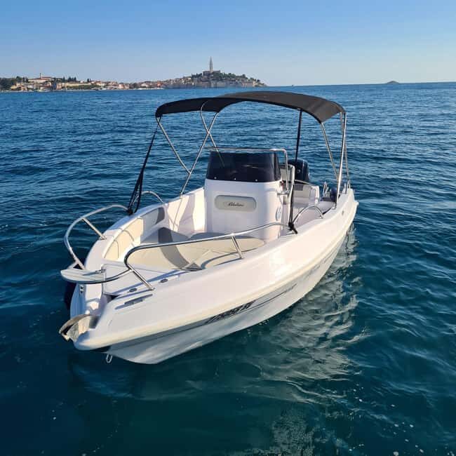 Rovinj: Shared Dolphin and Sunset Tour with Drinks - FAQ