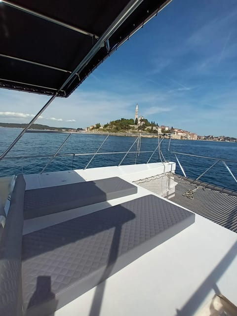 Rovinj: Sunset & dolphin group tours with Catamaran - Why Choose This Tour?
