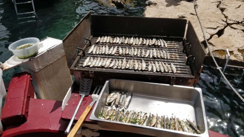 Rovinj: Sunset Lim Fjord Tour with BBQ, Swimming & Dolphins - Final Thoughts