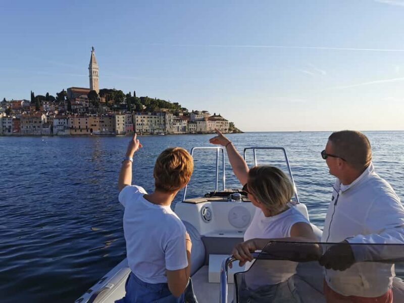 Rovinj: Sunset Speedboat Tour with Dolphin Watching - Good To Know