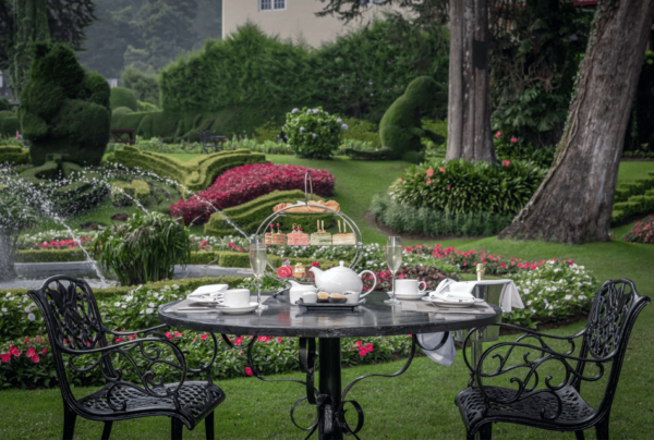 Royal Afternoon Tea at the Grand Nuwara Eliya + Bubbly! - Accessibility Features