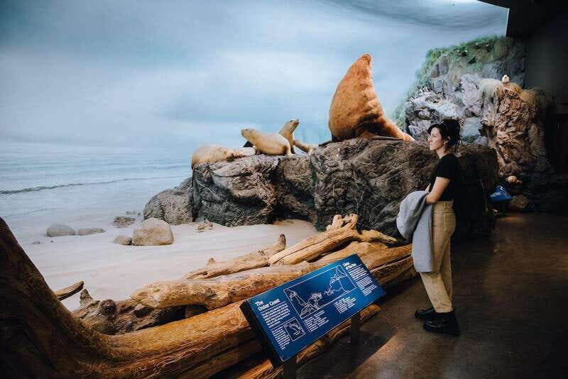 Royal B.C. Museum in Victoria: Full-Day Admission Ticket - Transportation & Practical Tips