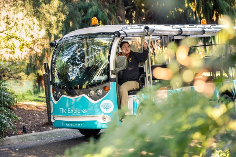 Royal Botanic Gardens Melbourne Tour - What you see from the minibus