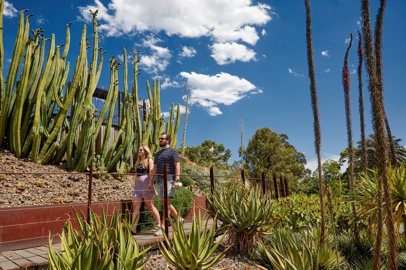 Royal Botanic Gardens Melbourne Tour - A practical way to choose your walking route