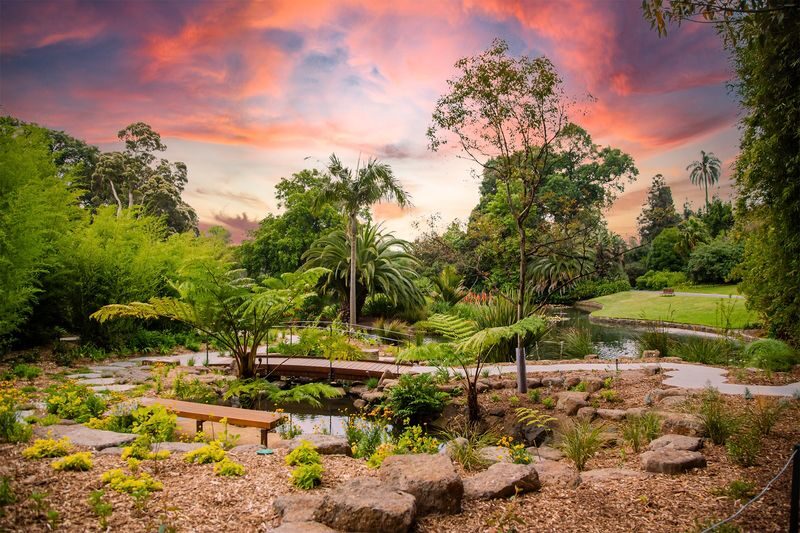 Royal Botanic Gardens Melbourne Tour - What you give up by riding
