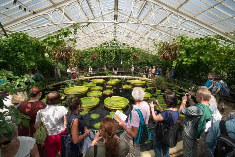 Royal Botanic Gardens Ticket in Kew Gardens - See the glasshouses while you have time
