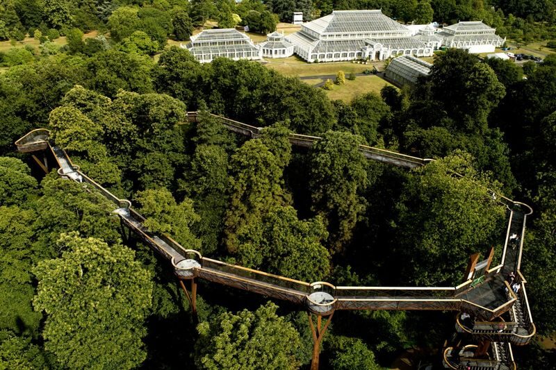Royal Botanic Gardens Ticket in Kew Gardens - Listen for The Hive