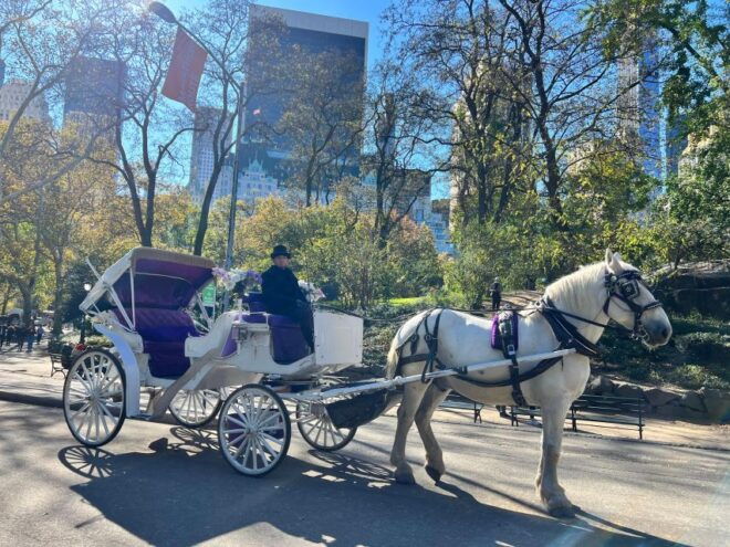 Royal Carriage Ride in Central Park NYC - Booking Information