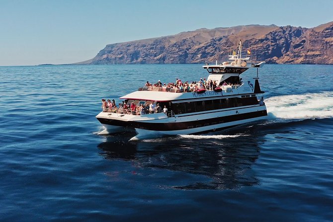 Royal Delfin - 45H Dolphin & Whale Watching - Los Gigantes Masca - Lunch & Swim - Additional Information
