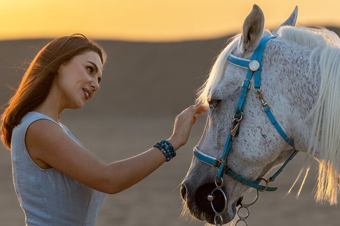 Royal Desert Fortress Dinner Without Dune Bashing - Authentic Cultural Entertainment
