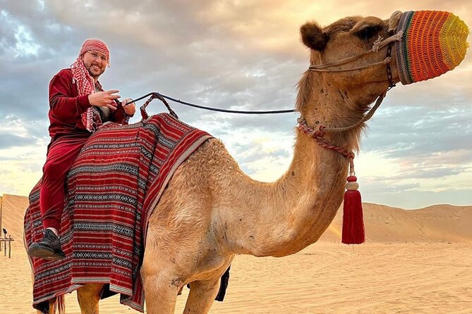 Royal Desert Fortress Dinner Without Dune Bashing - The Sum Up