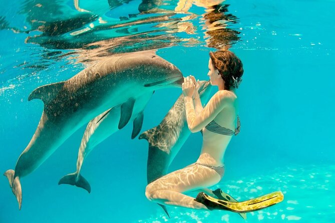 ROYAL Dolphin House With Water Sports - VIP Snorkeling Sea Trip - Hurghada - Additional Information for Travelers