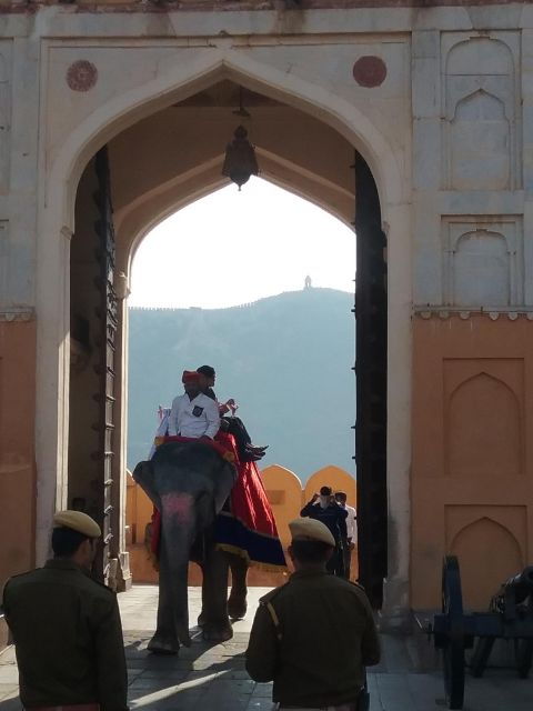 Royal Escape: Exclusive Delhi to Jaipur Private Day Tour - Tour Details