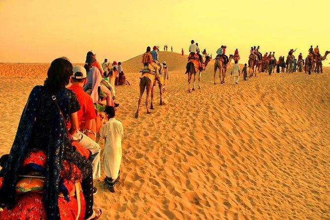 Royal Evening Desert Safari With Bbq Dinner & Live Shows - Live Shows During Evening Desert Safari