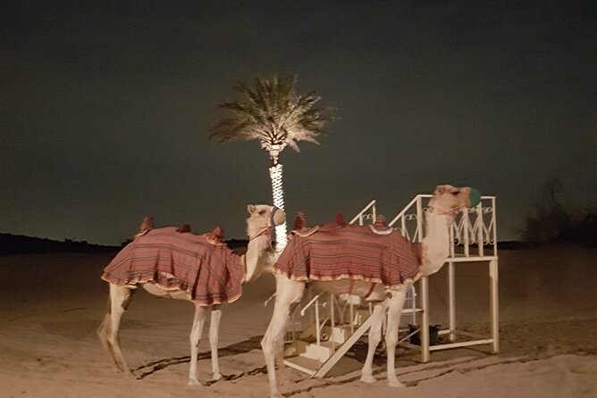 Royal Fortress Fine Dining Desert Safari - Private Transfer and Dune-Bashing Experience
