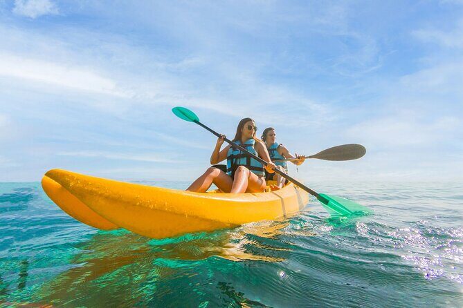 Royal Garragon with Dolphin Encounter in Isla Mujeres - Practical Details and Tips